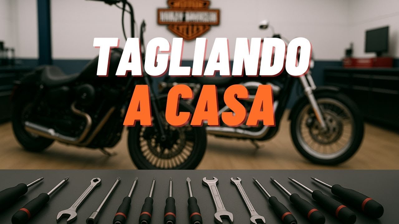 TAGLIANDO ALLE NOSTRE HARLEY | Softail e Sportster