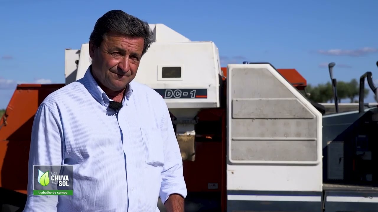 Produção de feijão frade