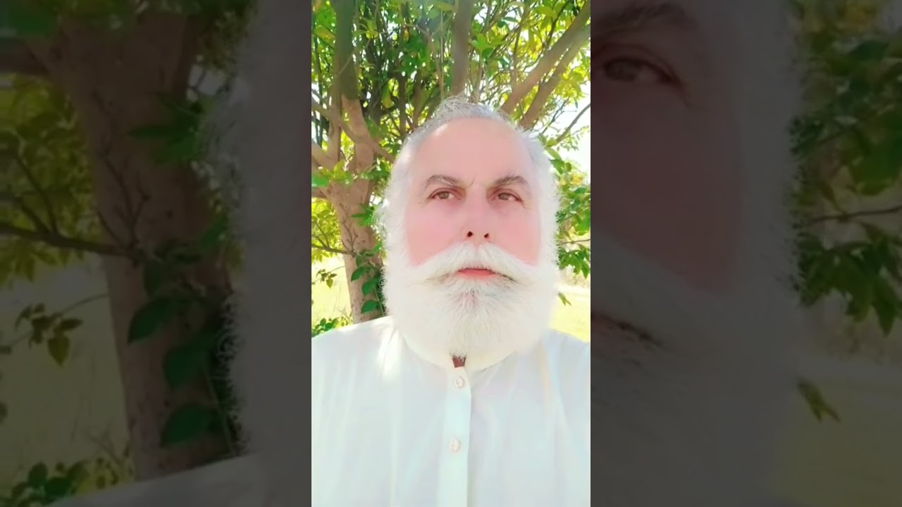سید بادشاہ