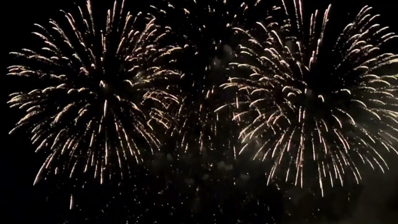 Remember the 5th of November 2024