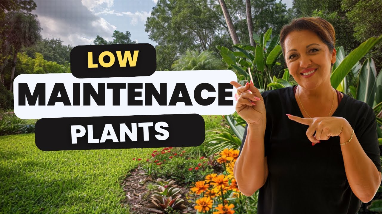 The Best Low Maintenance Plants for Your Florida Garden