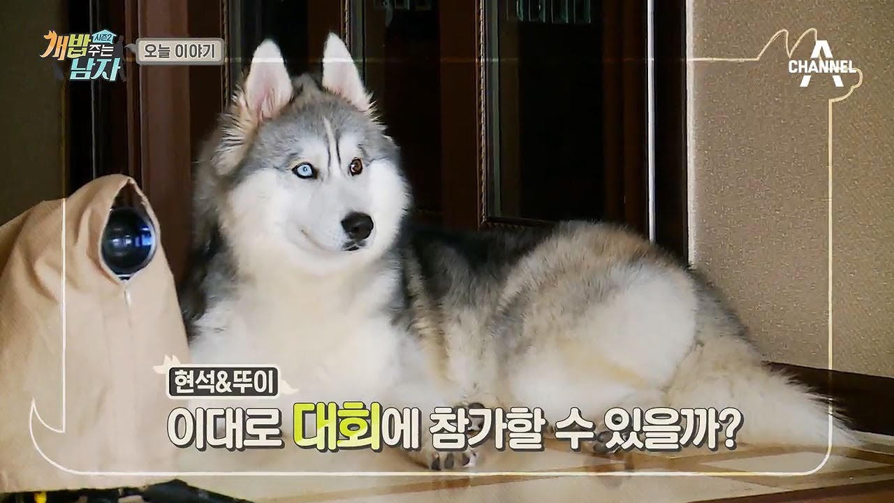 [예능] 개밥주는남자 시즌2 32회_171202