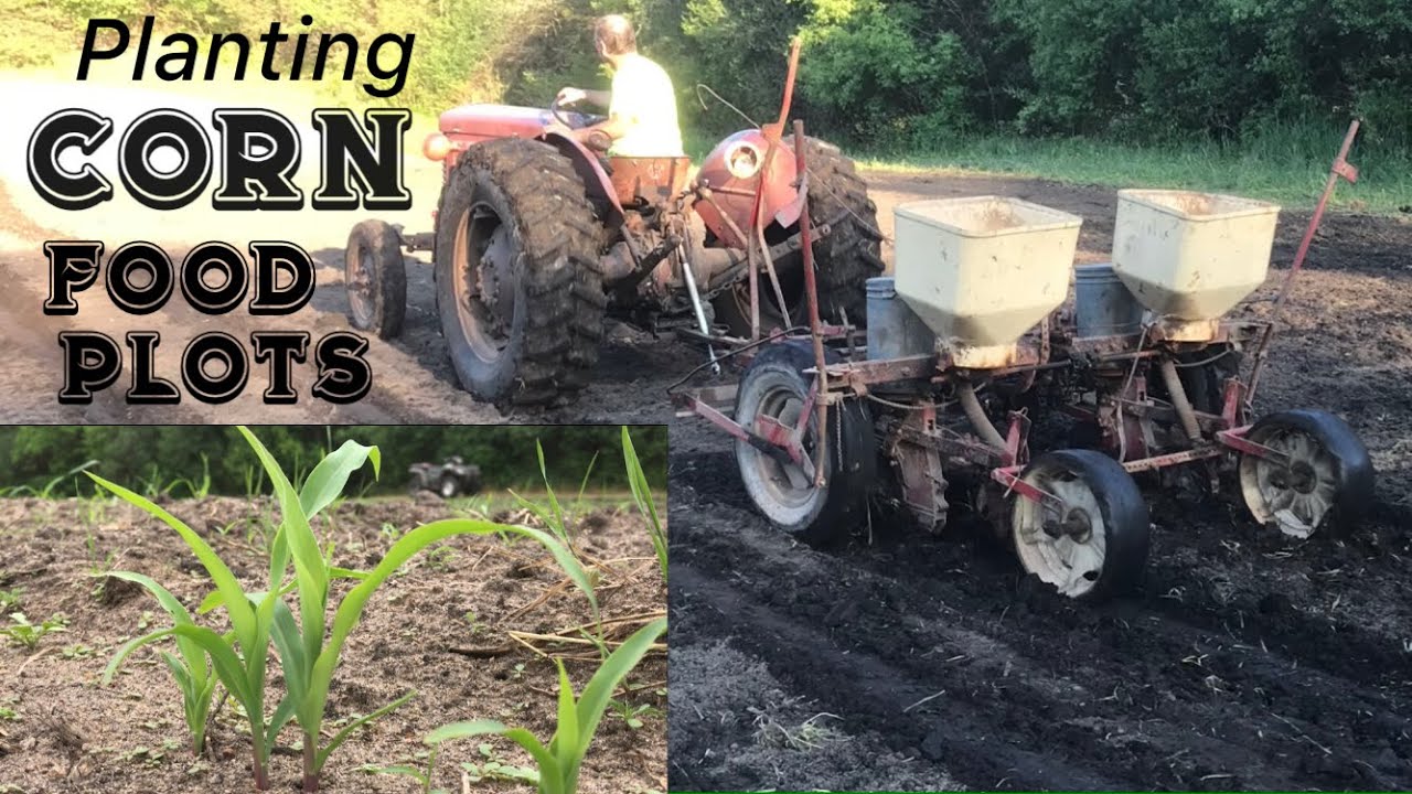 Planting Corn Food Plots with 2 Row Planter