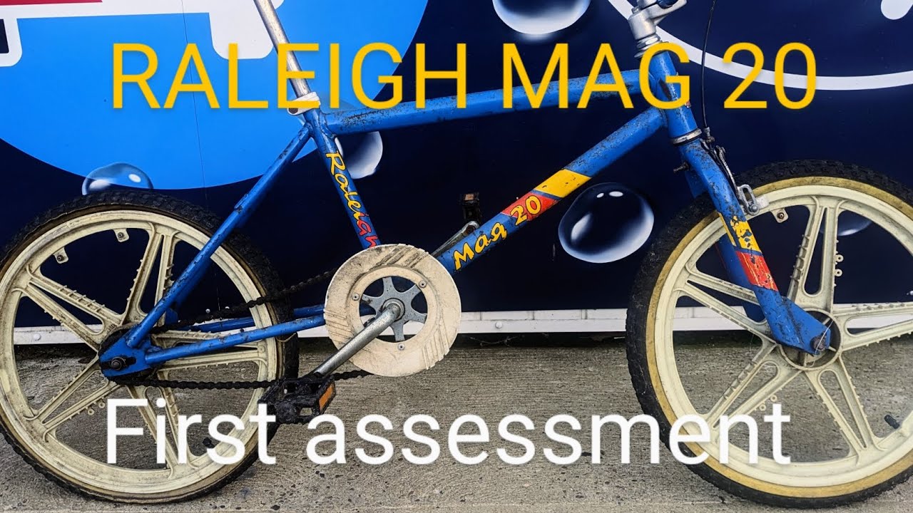 RALEIGH BURNER MAG 20 | new project | first assessment