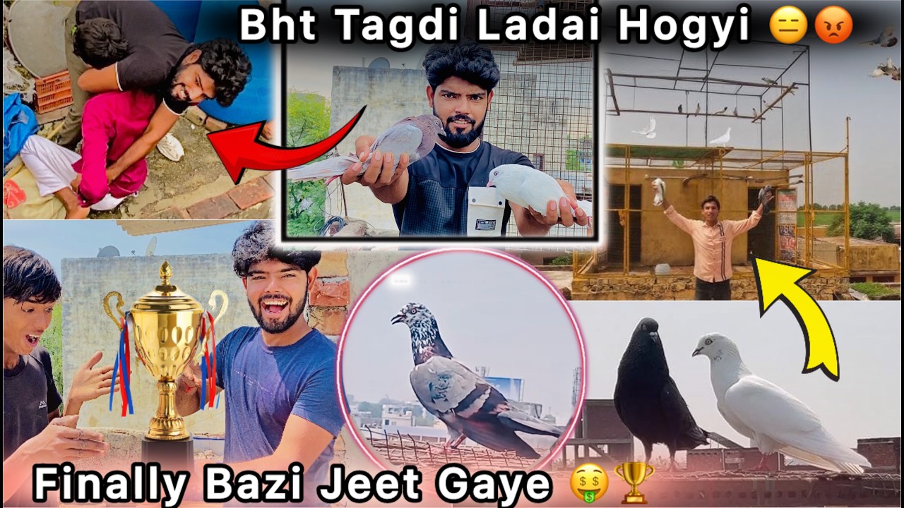 Chath Wali Bazi Jeet Gaye 🤑 || Paiso 💰 k liye Ladai Hogyi 😮 || Pigeon Tounament win 🏆 