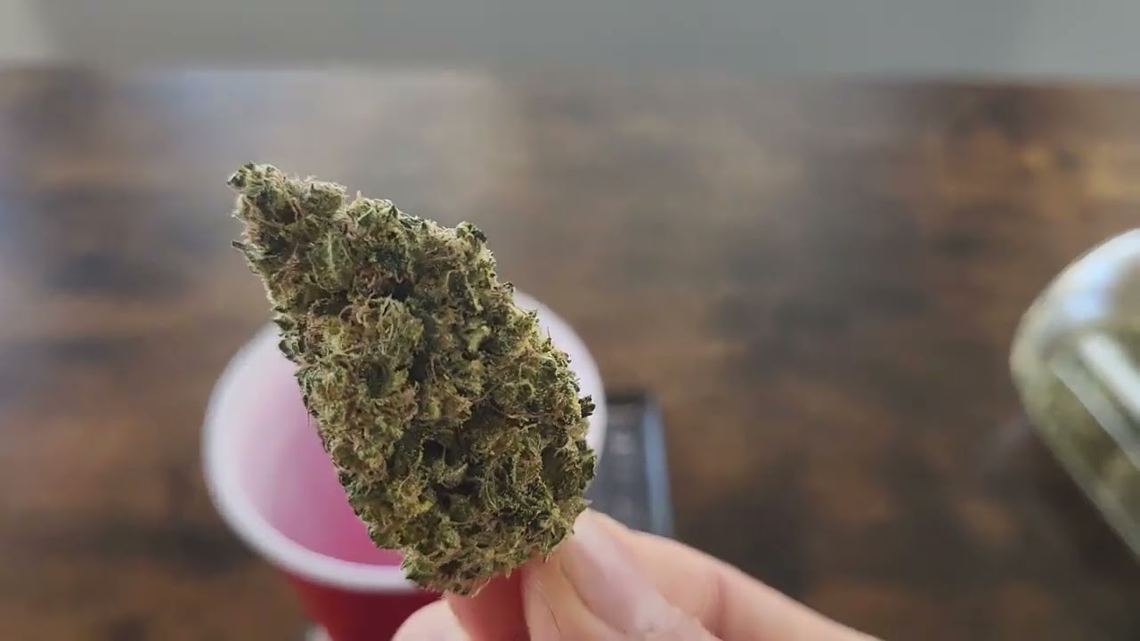 White Widow Micro Grow Final Weight and Results!