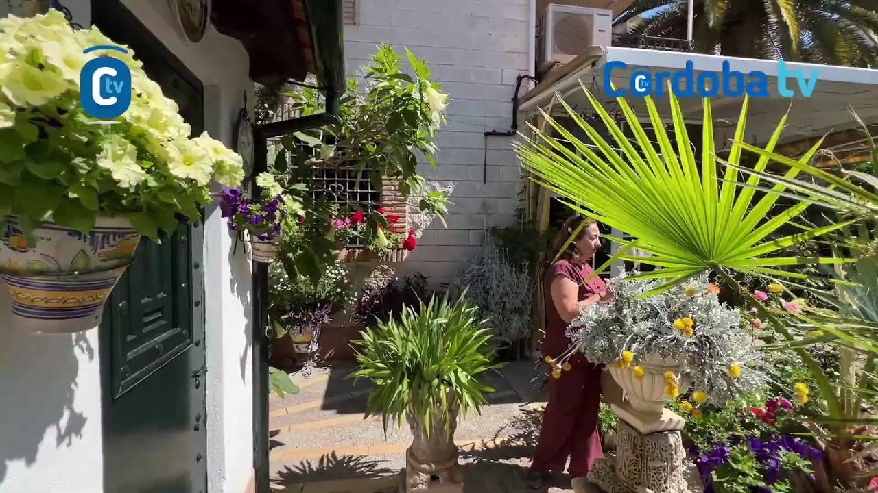 PATIOS 2025 ACEITE 8