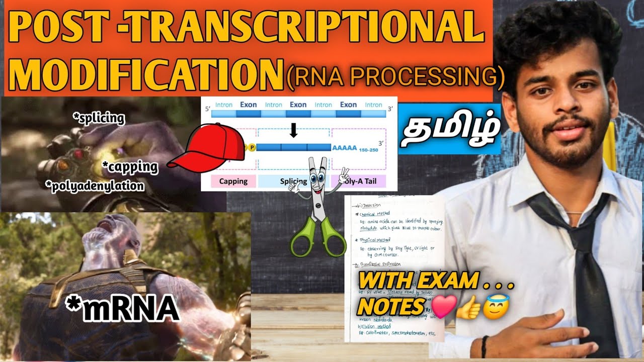 Post transcriptional modification/tamil/notes/splicing/5' capping/ 3' polyadenylation/transcription