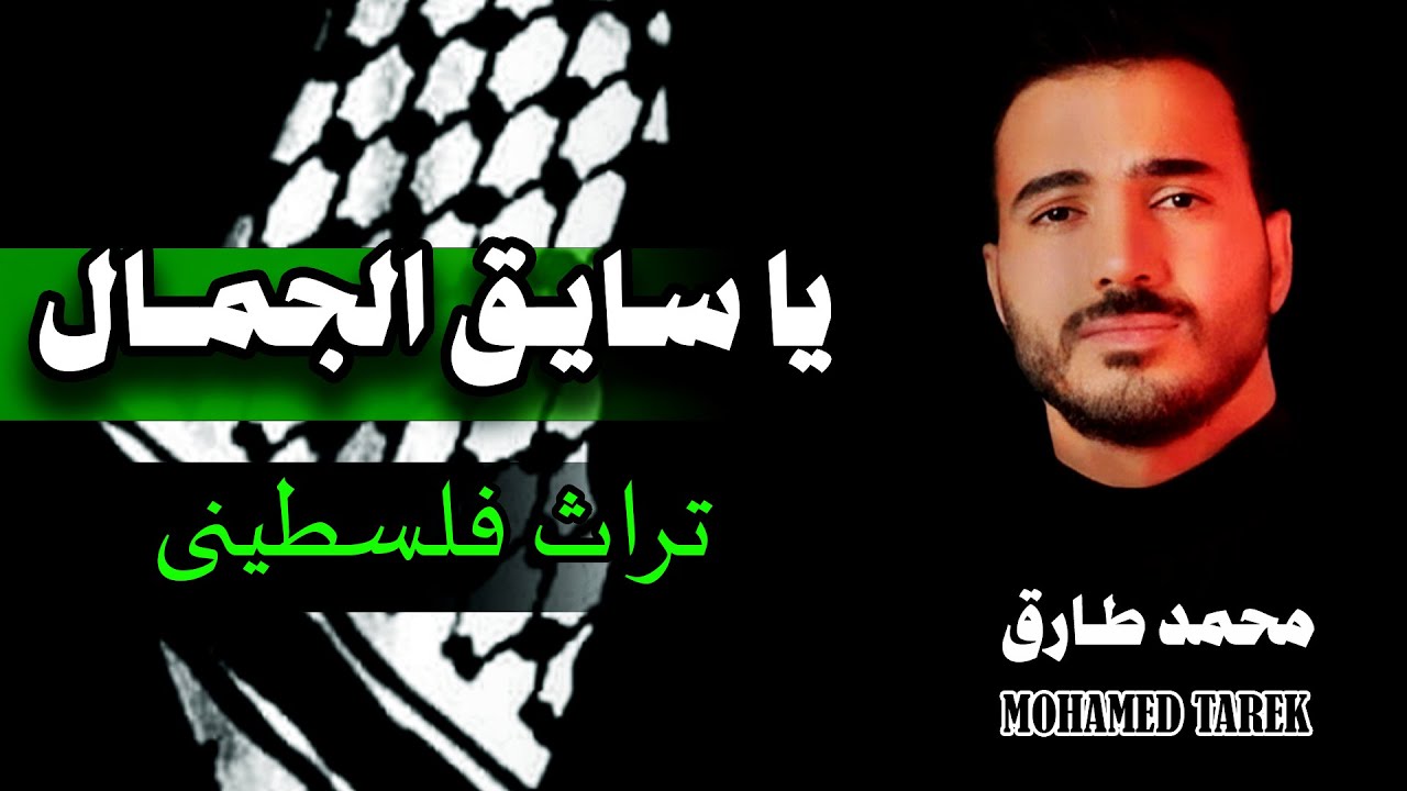 Mohamed Tarek - Ya Sayeq Al-Gamal | محمد طارق - يا سايق الجمال