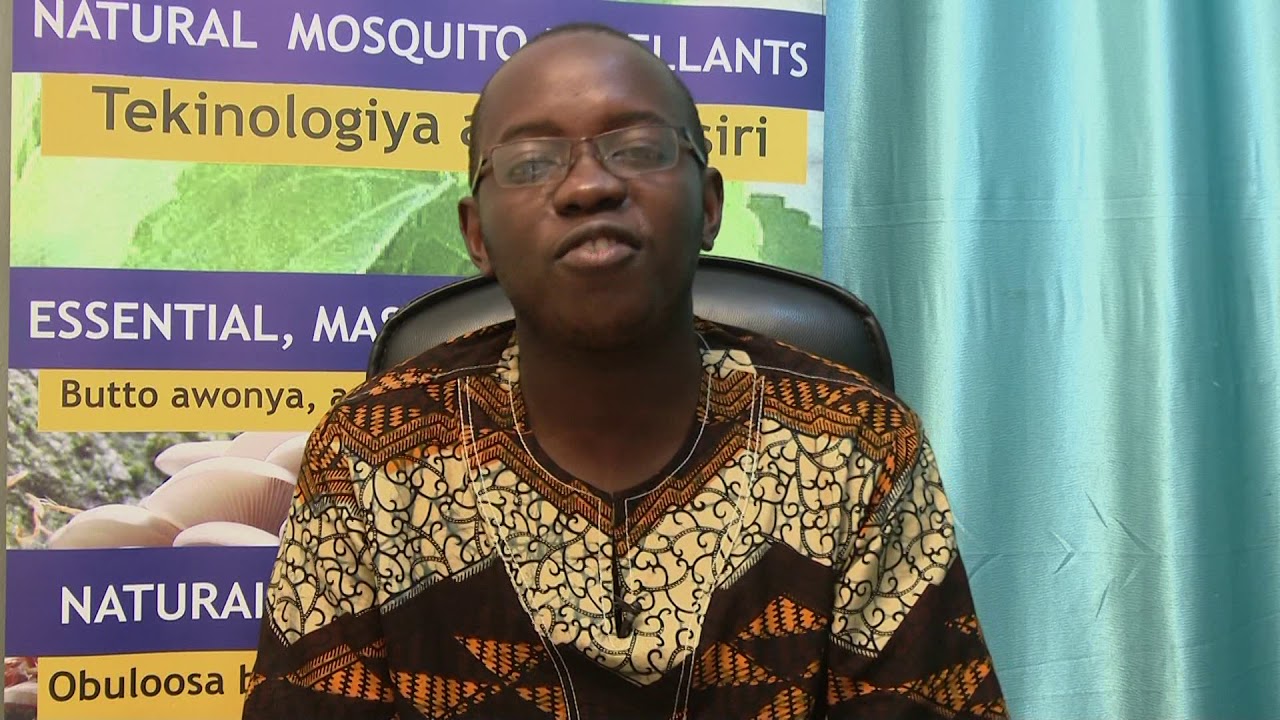 PROF BIORESEARCH EMBOOZI Z`OMUKENKUFU  KAKOMERA ( CEDARWOOD OIL)