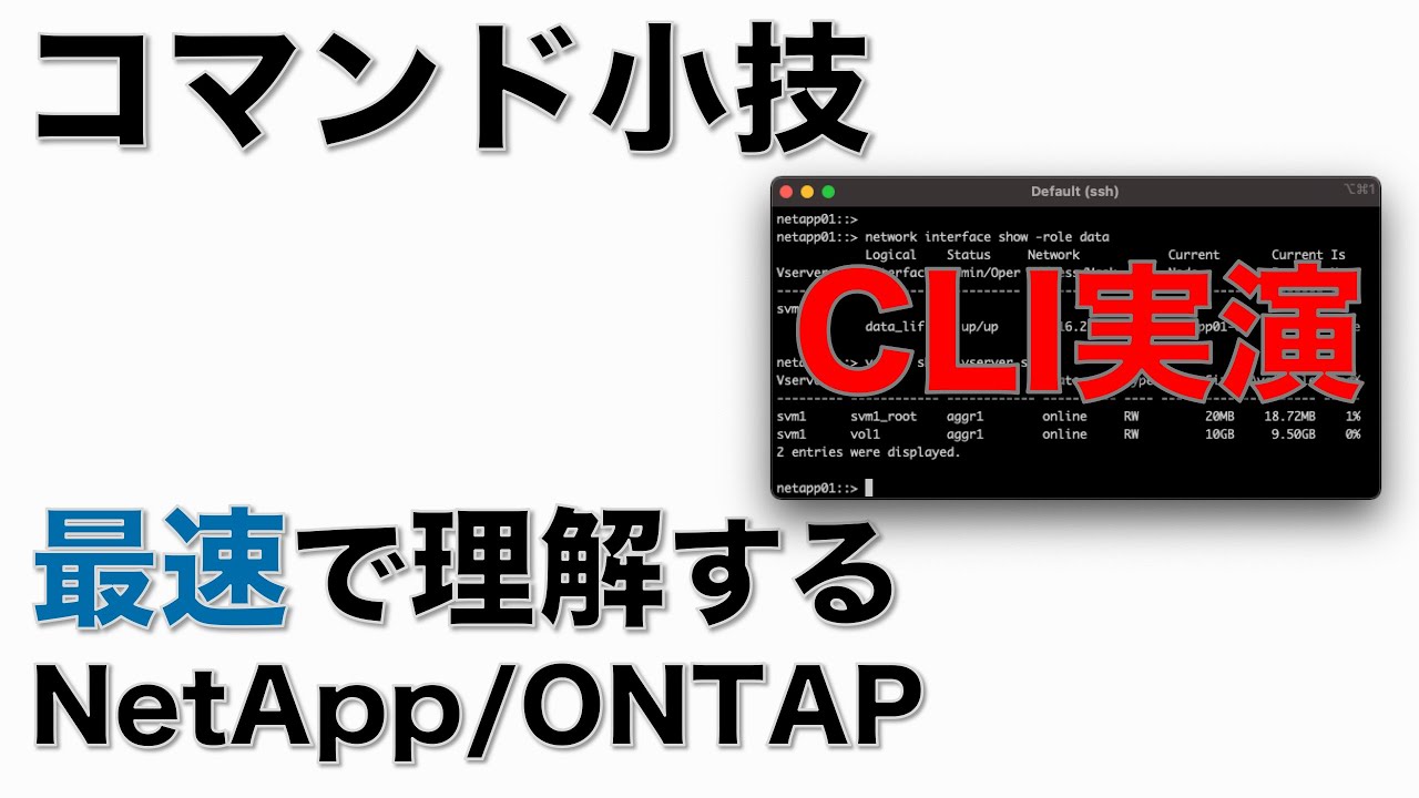 【コマンド小技】知ってる？ 最速理解 NetApp/ONTAP