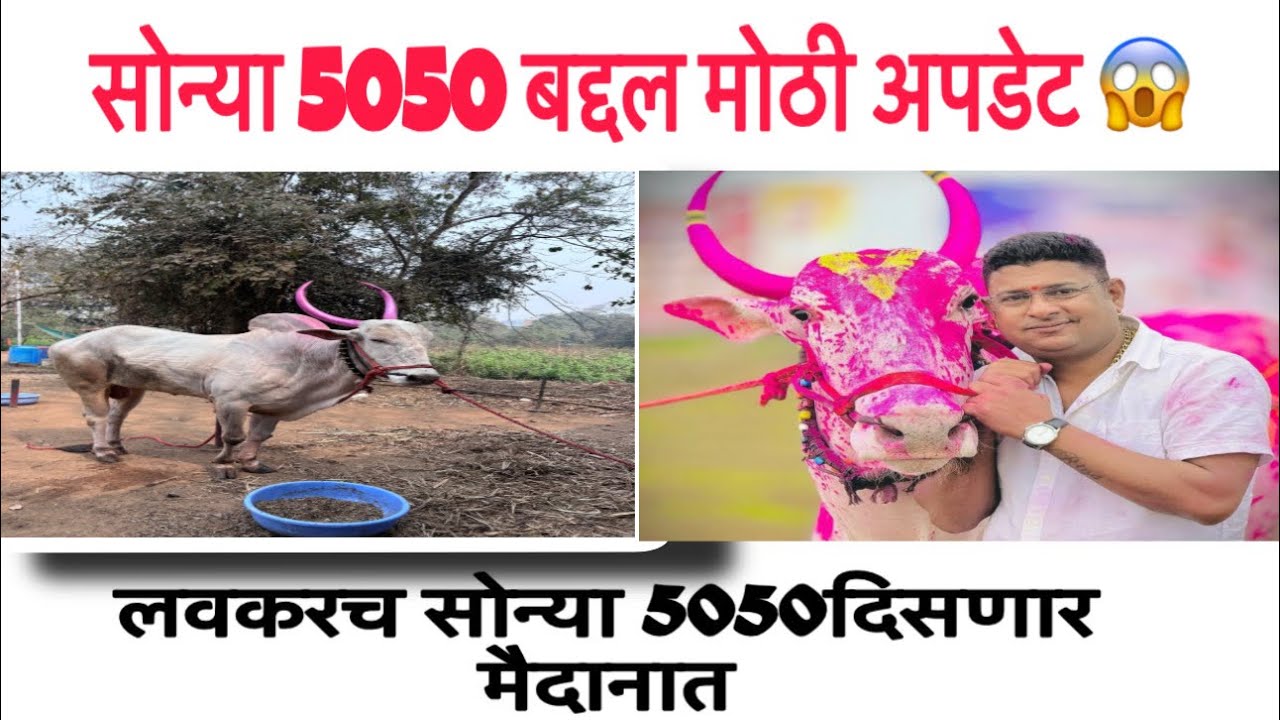 सोन्या 5050 बद्दल मोठी अपडेट 😱| लवकरच सोन्या 5050 दिसणार मैदानात 