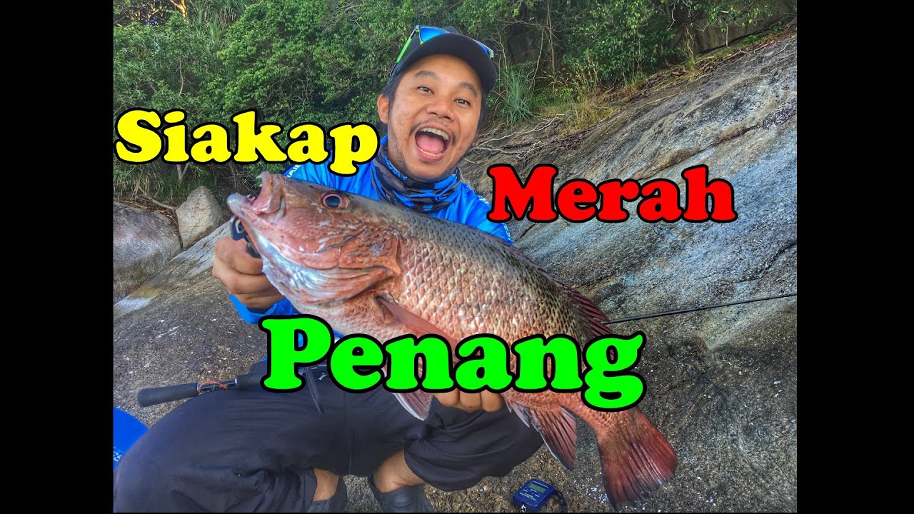 Trip Casting di Pulau Rimau Penang Bersama Team Perlis Casters