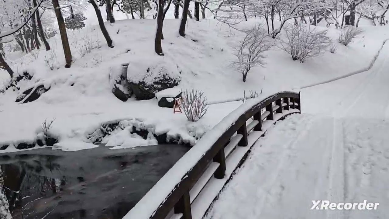 こんなん雪降りの中盛岡城跡公園をお散歩。。。
