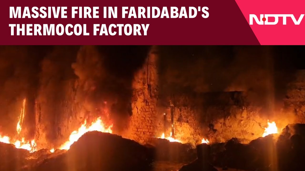 Faridabad Fire News | Massive Fire Destroys Thermocol Factory Near Shahpur Village in Faridabad