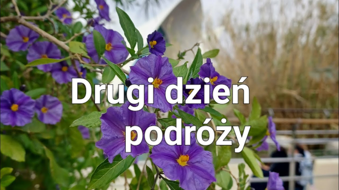 Drugi dzień podróży, Walencja, Hiszpania