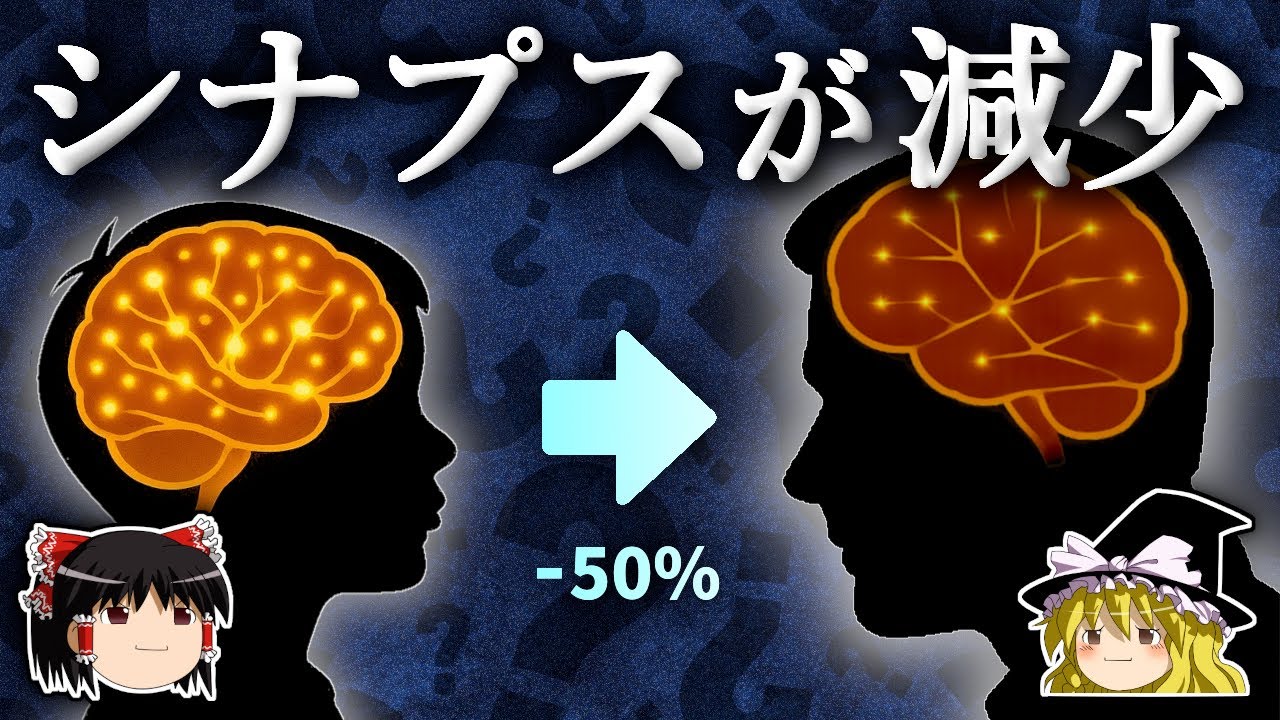 なぜ脳はせっかく作ったシナプスを壊すのか？【ゆっくり解説】