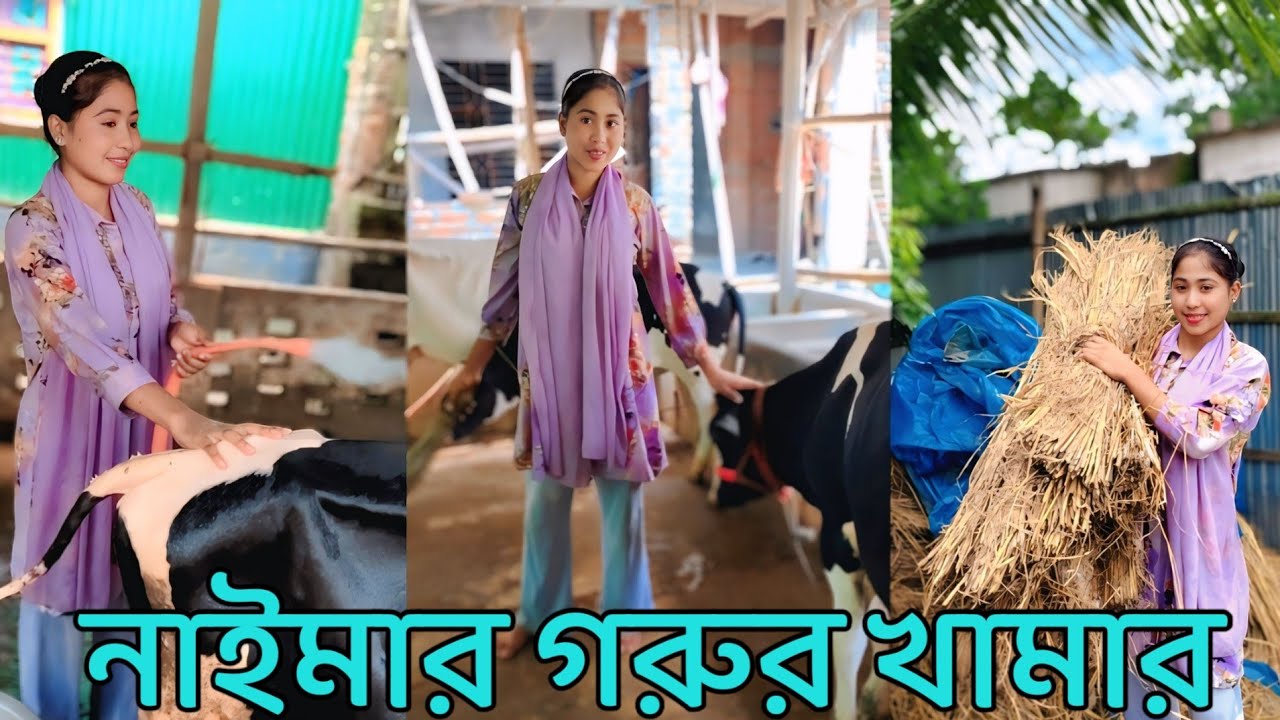 নাইমা গরুর খামার দিয়ে ফেললো গান ছেড়ে দিয়ে হাঁস মুরগি এগুলোই নাকি এখন থেকে পালবে
