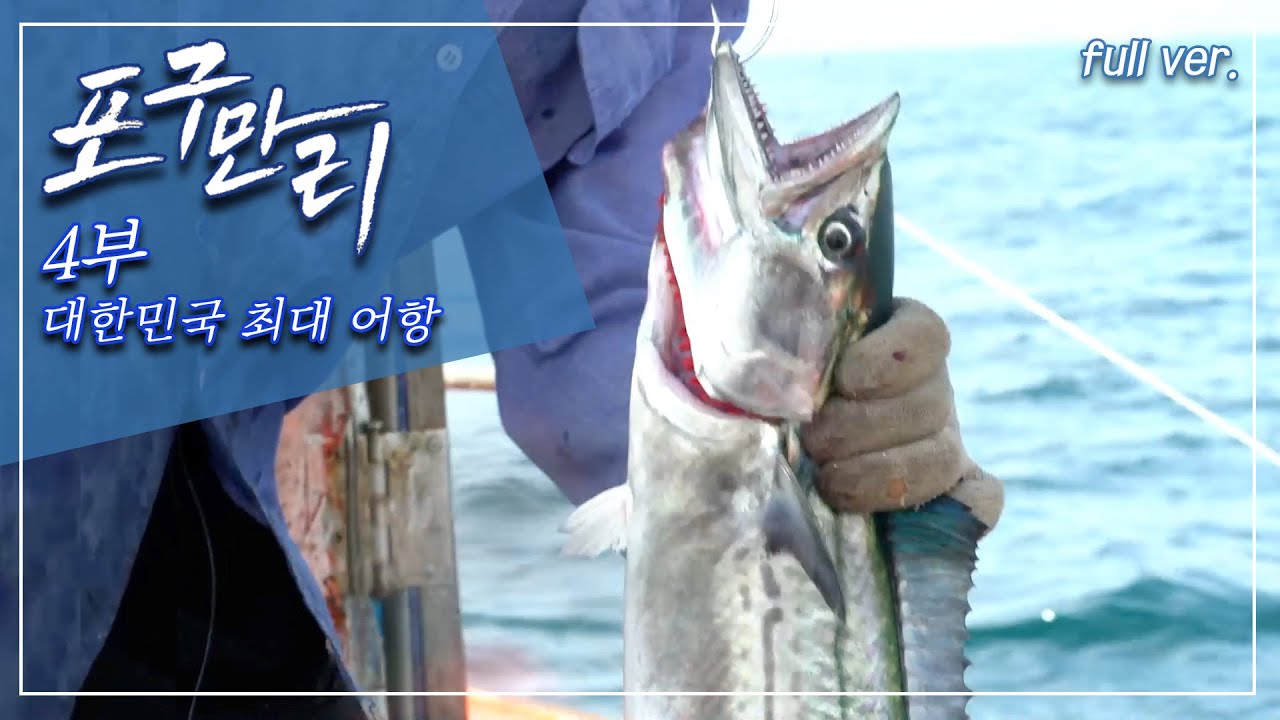 부산 자갈치 시장, 영도구 남항까지 부산 바다와 마을이 만나는 곳_포구만리 4부 Full.ver