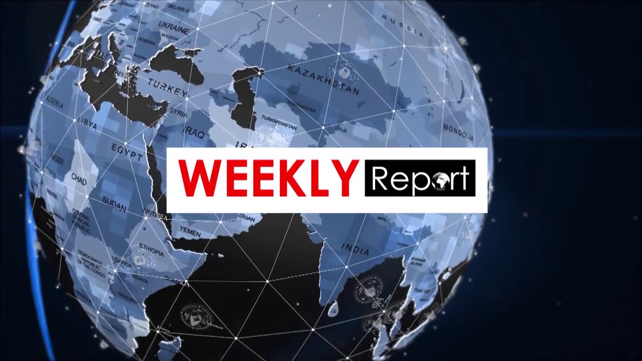 Weekly Report(24/7/2017)