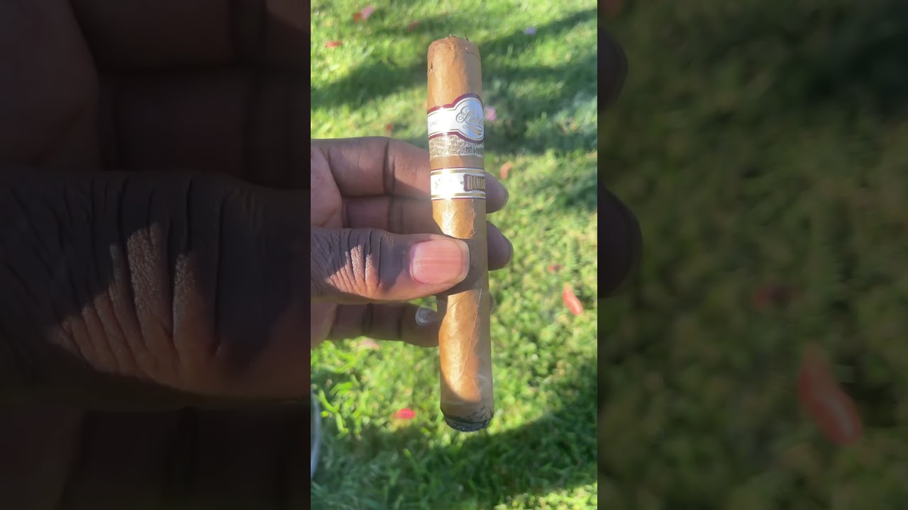 Padron Damaso #cigarlife #premiumcigars #padron #youtubeshorts
