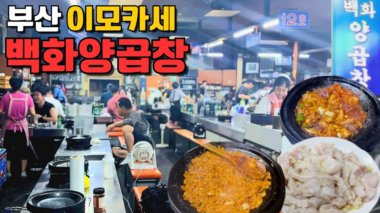 부산 여행 필수코스 🇰🇷 자갈치시장 백화양곱창 | 볶음밥이 12,000원?!