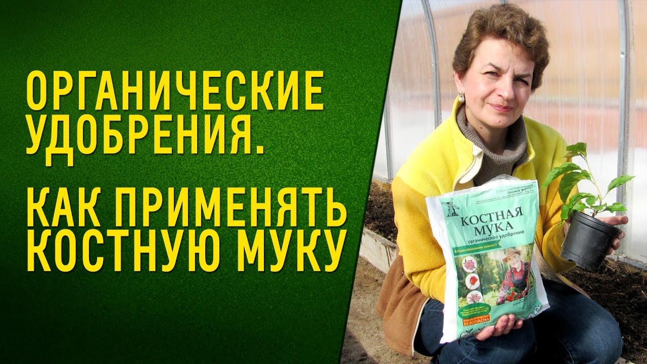 Супер средство для подкормки растений. Костная мука.