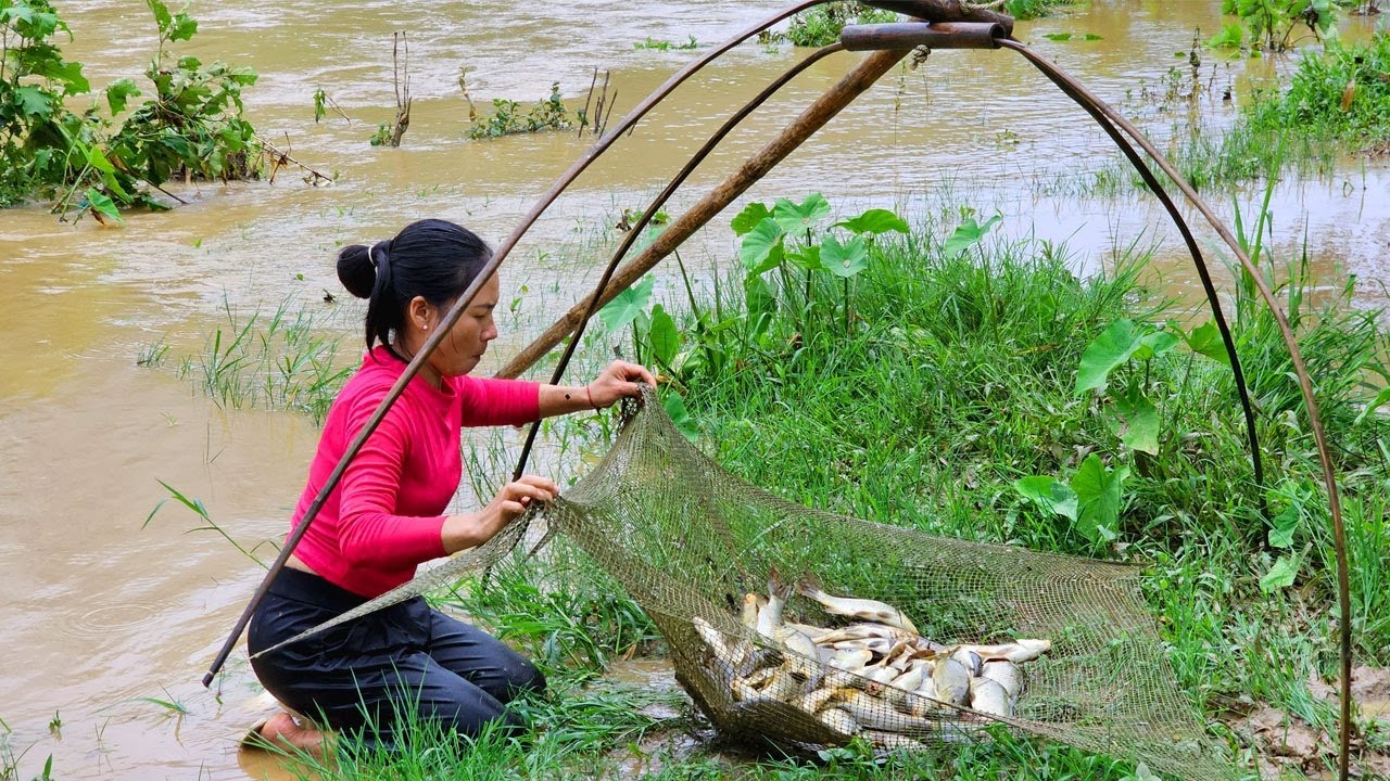 FULL VIDEO: Wild fish to catch in the RAINY SEASON to earn a lot of money to feed your children