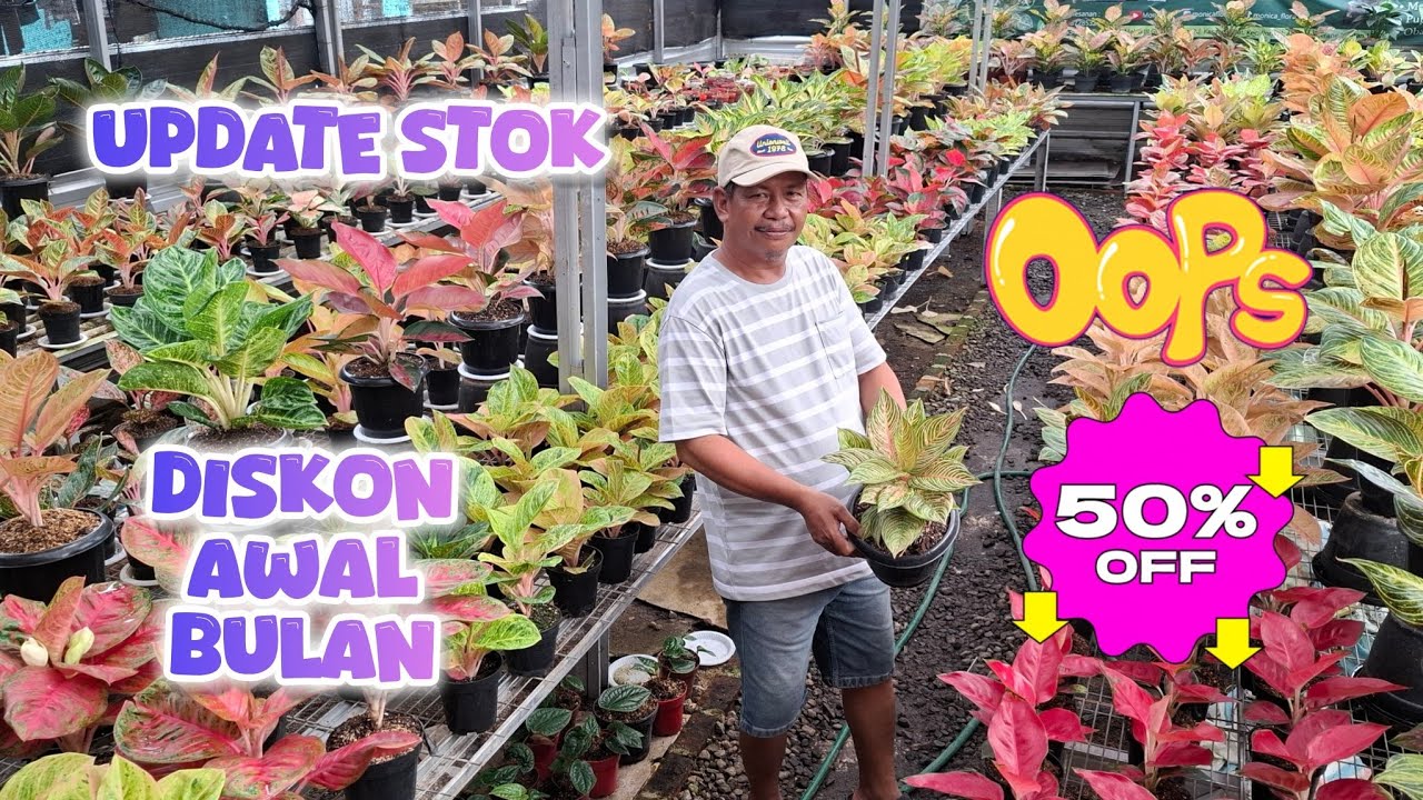 LAGI LAGI DISKON AWAL BULAN !! UPDATE STOK BARU !!