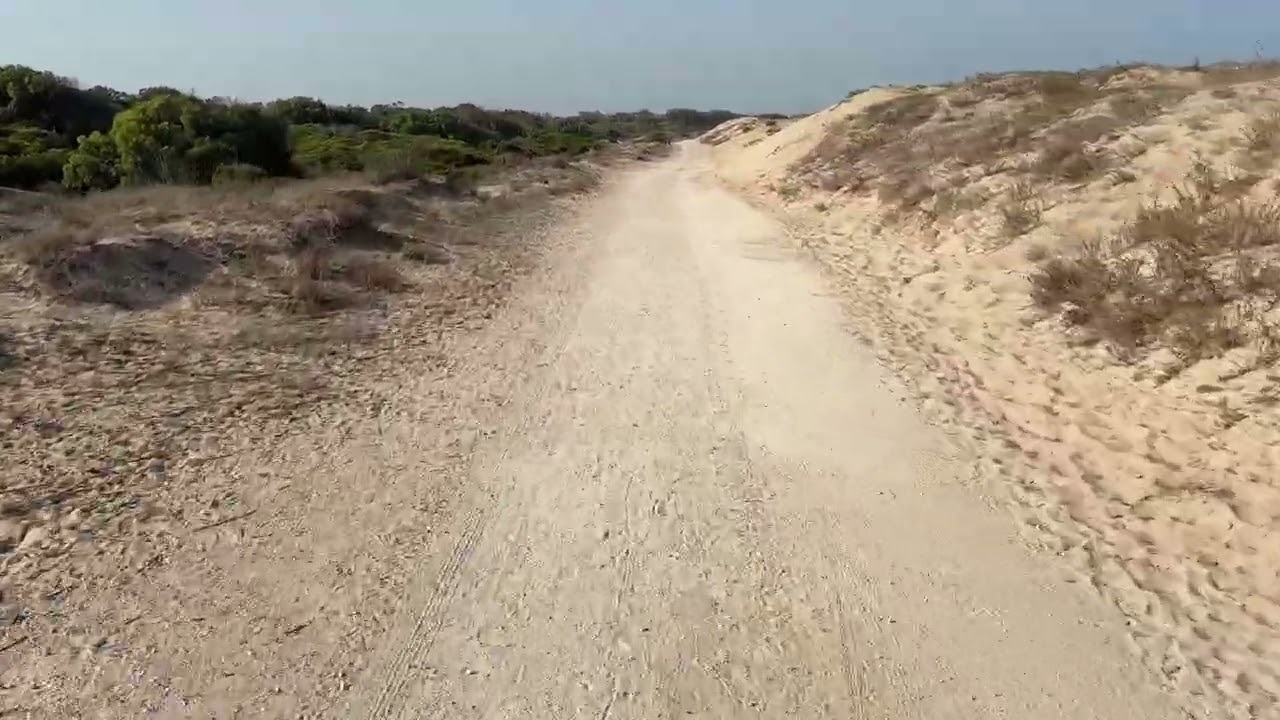 Bike Ride 