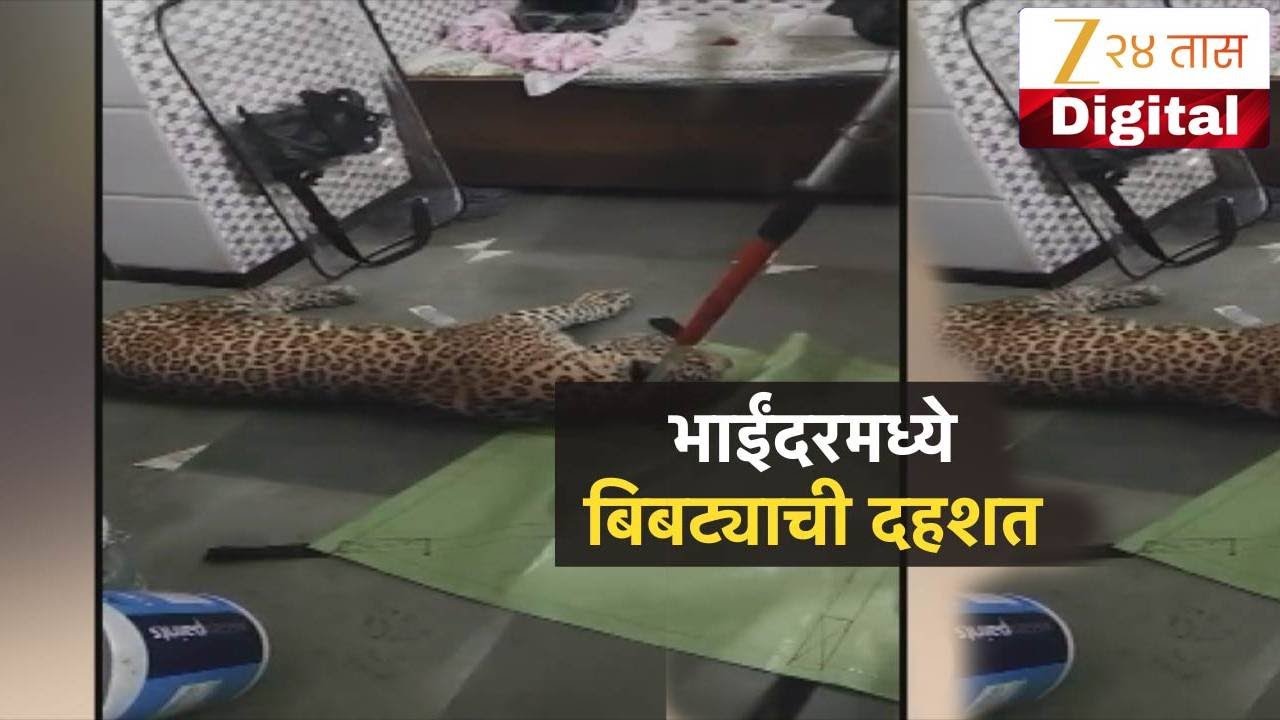 Special Report | Mira Bhayandar Leopard | मिरा भाईंदरमधल्या इमारतीत बिबट्याचा धुमाकुळ