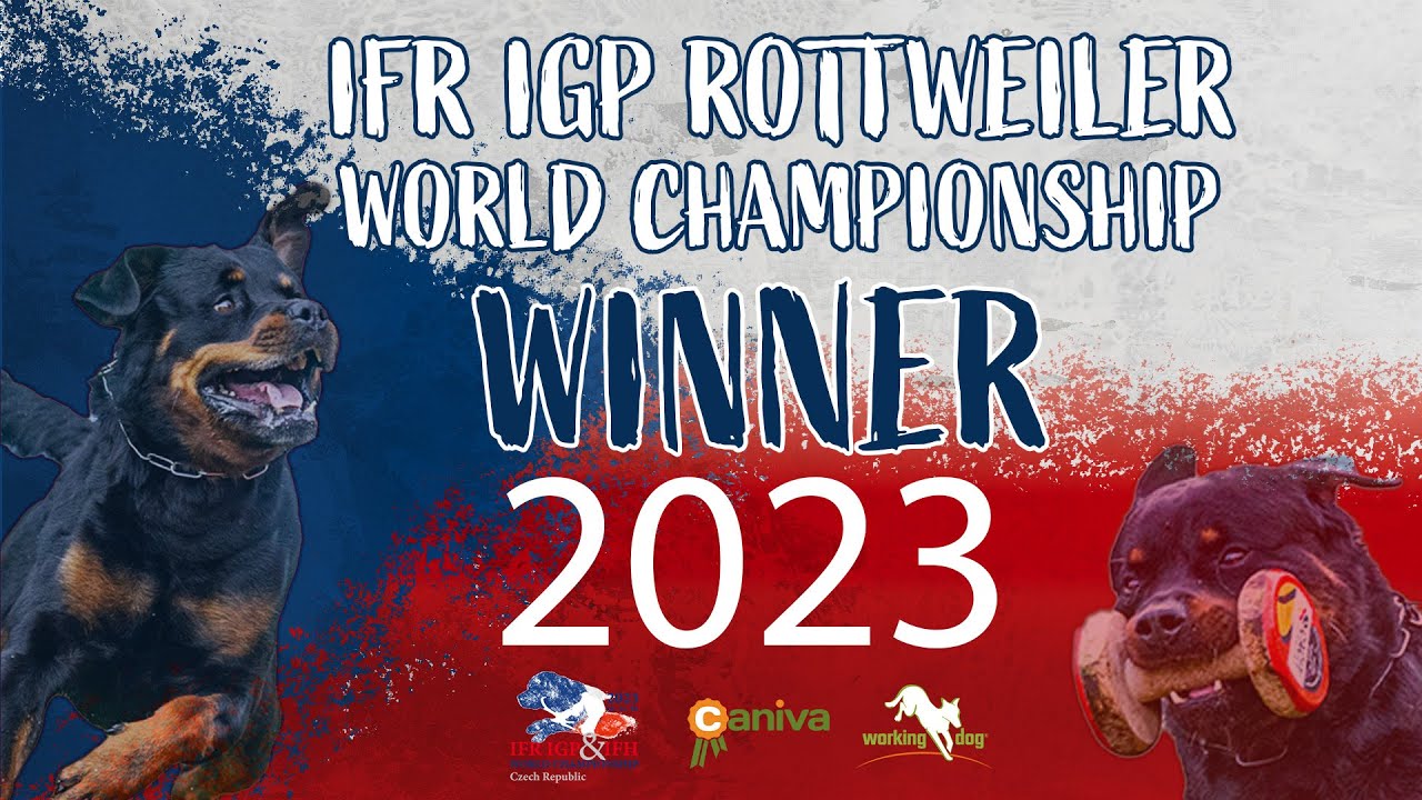 IFR IGP World Championship 2023 // Iliak vom Kinzigtal // Radek Amler