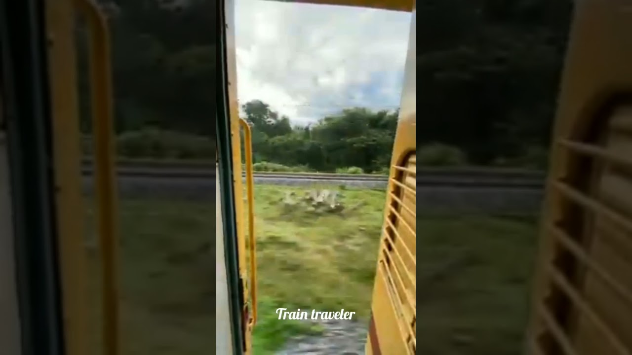 kerala tamilnadu border beautiful train route🌟🌟