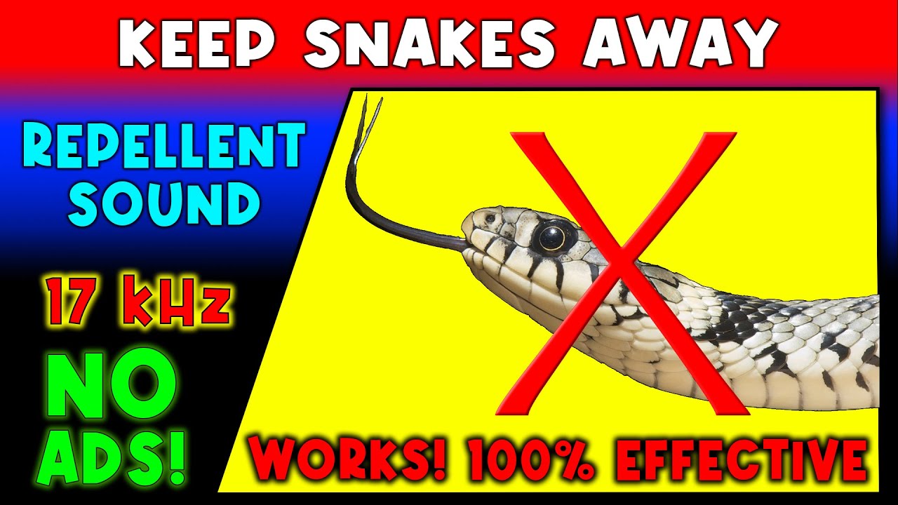 ANTI SNAKES REPELLENT SOUND ⛔🐍 KEEP SNAKES AWAY - ULTRASONIC SOUND