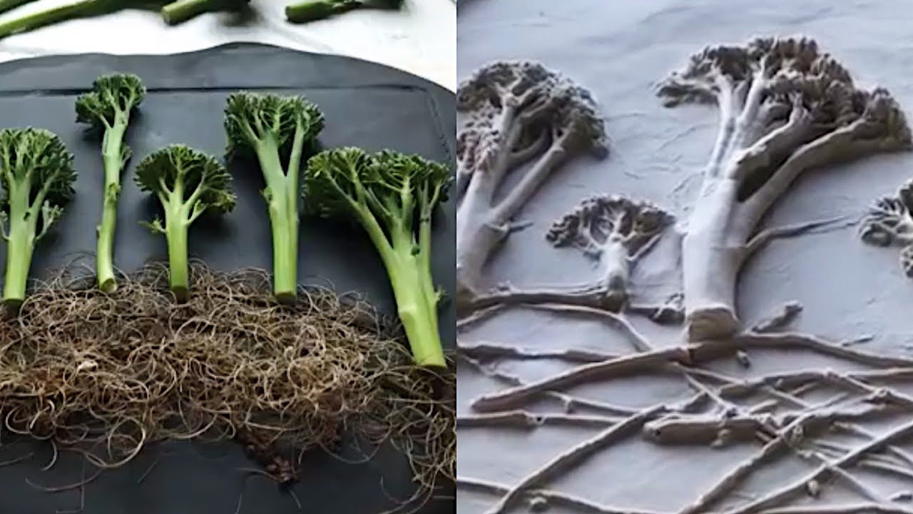 Broccoli diy art tutorial by Klever / art tiktok