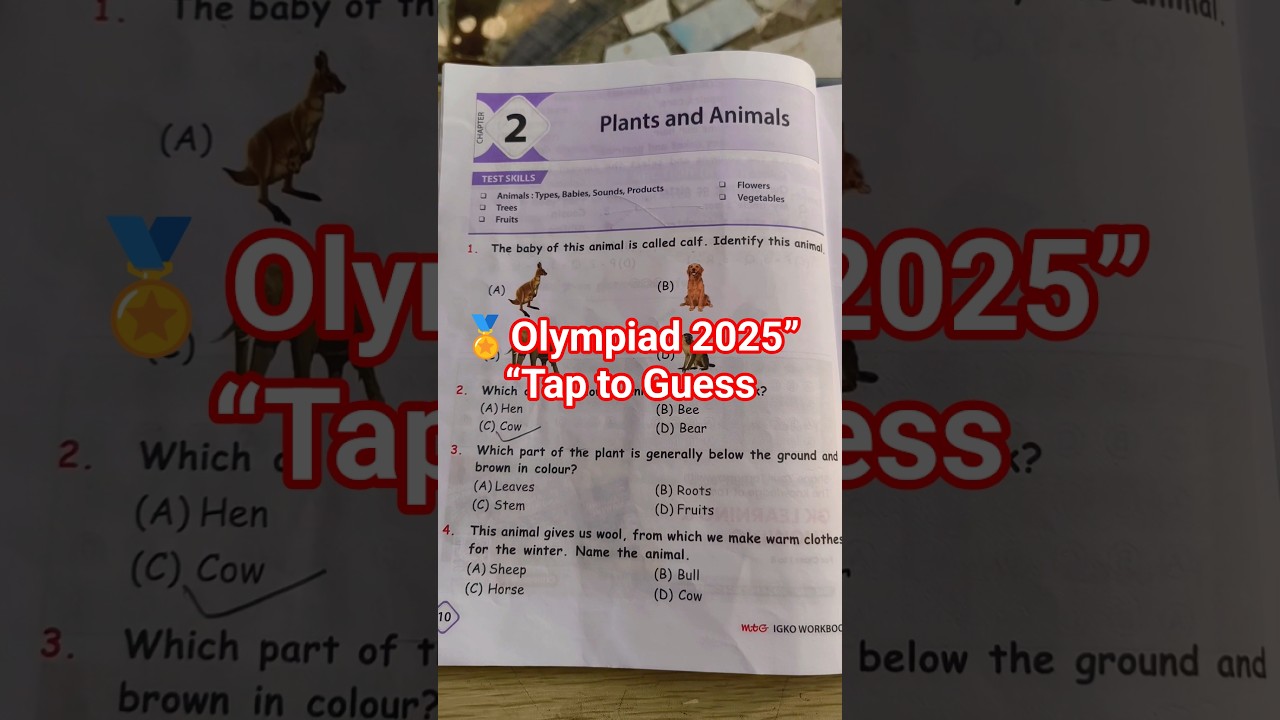 🧒 Class 1 GK Olympiad 2025 | Easy & Smart Questions for Kids | #shorts #olympiad #igko
