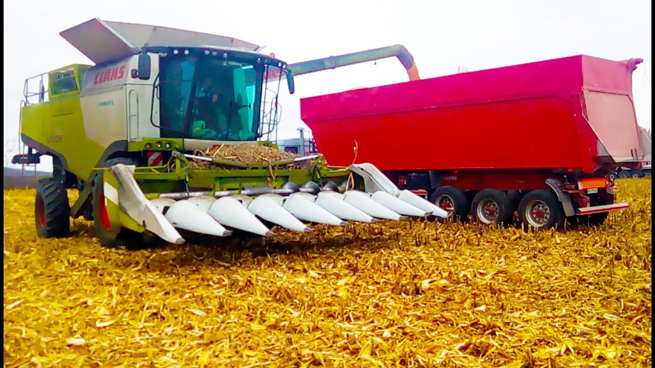 Уборка кукурузы комбайном CLAAS - 760 с 8 рядковой жаткой
