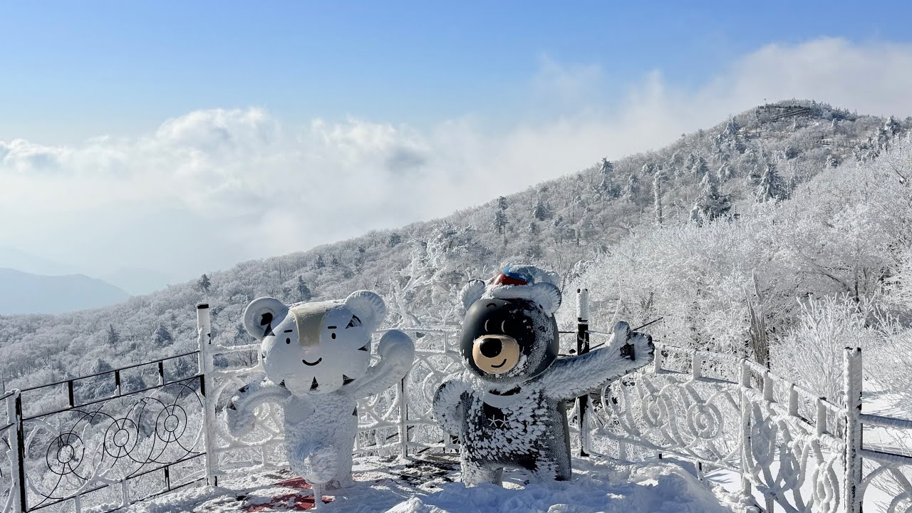 ‘26.3.7(토) 용평 레인보우 파라다이스