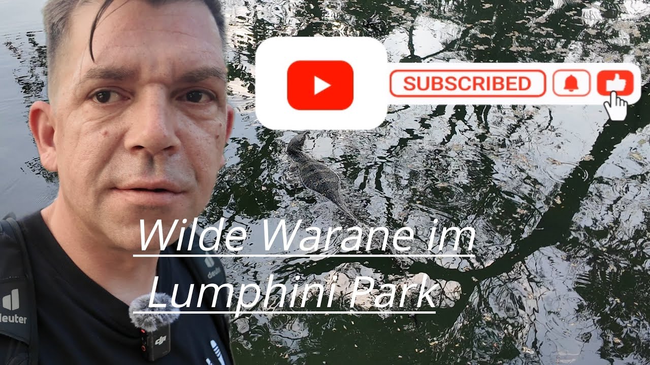 😱 Achtung riesige Warane in Bangkok |  Lumphini Park + Hotel Check Heaven@4 | Tour