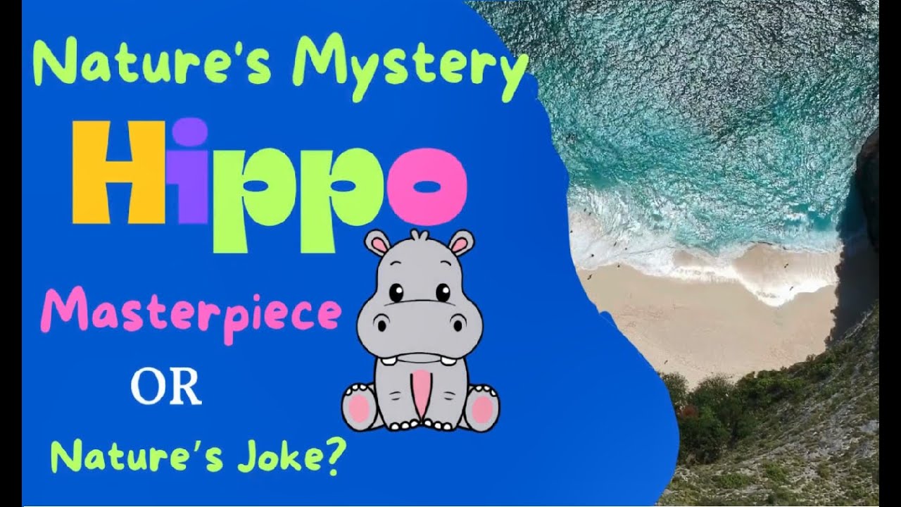EP3. Nature mistery Hippo Masterpiece or Nature's Joke? Cùng học tiếng anh về loài Hà Mã đáng yêu