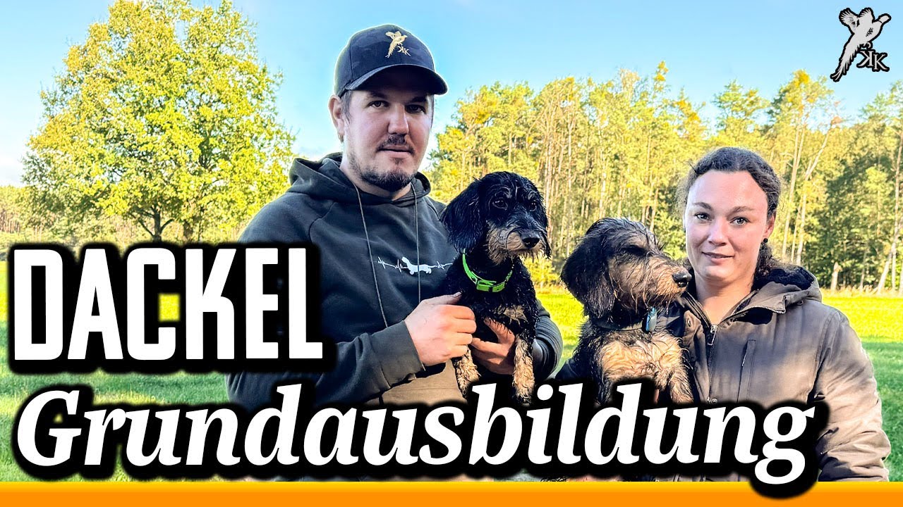 Basics mit dem Dackel - So lief's bei uns