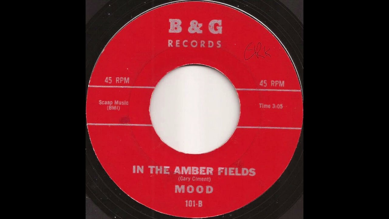 Mood – In The Amber Fields (1967 Garage Rock)