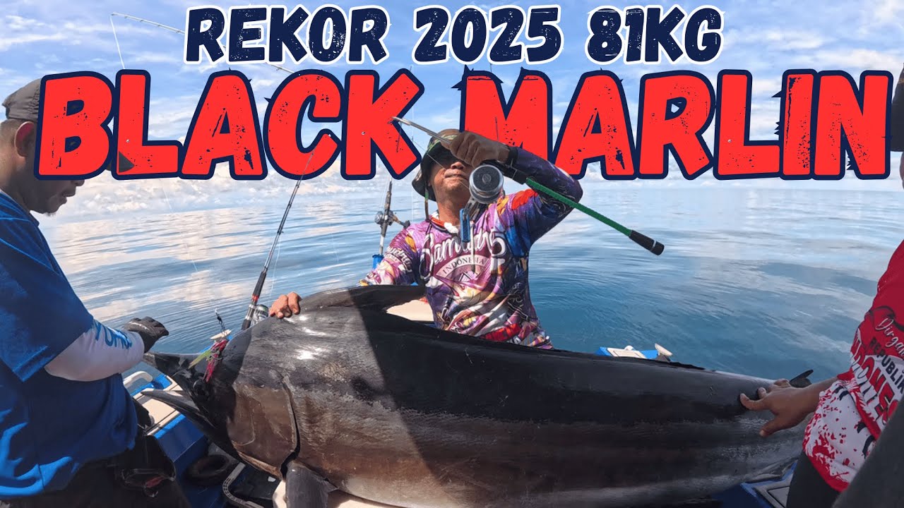 MEMANCING MONSTER BLACK MARLIN 81KG ‼️ JIGGING TARAKAN, KALIMANTAN UTARA ‼️