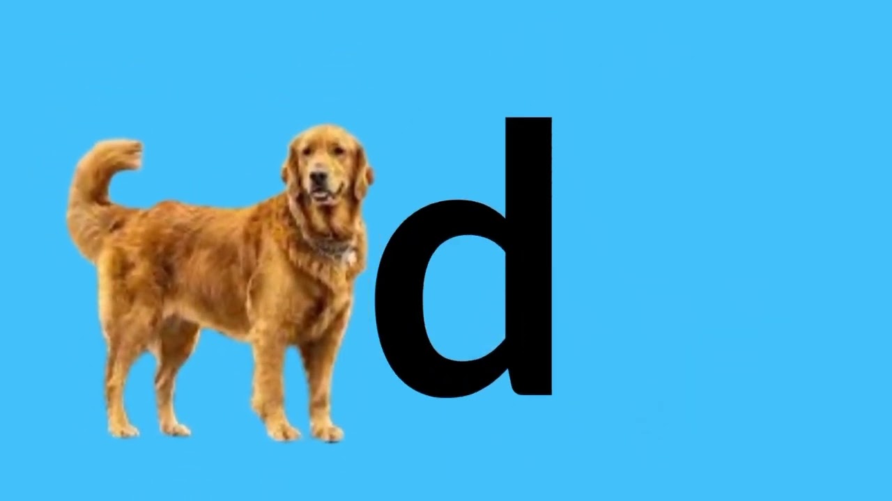 Sound /d/