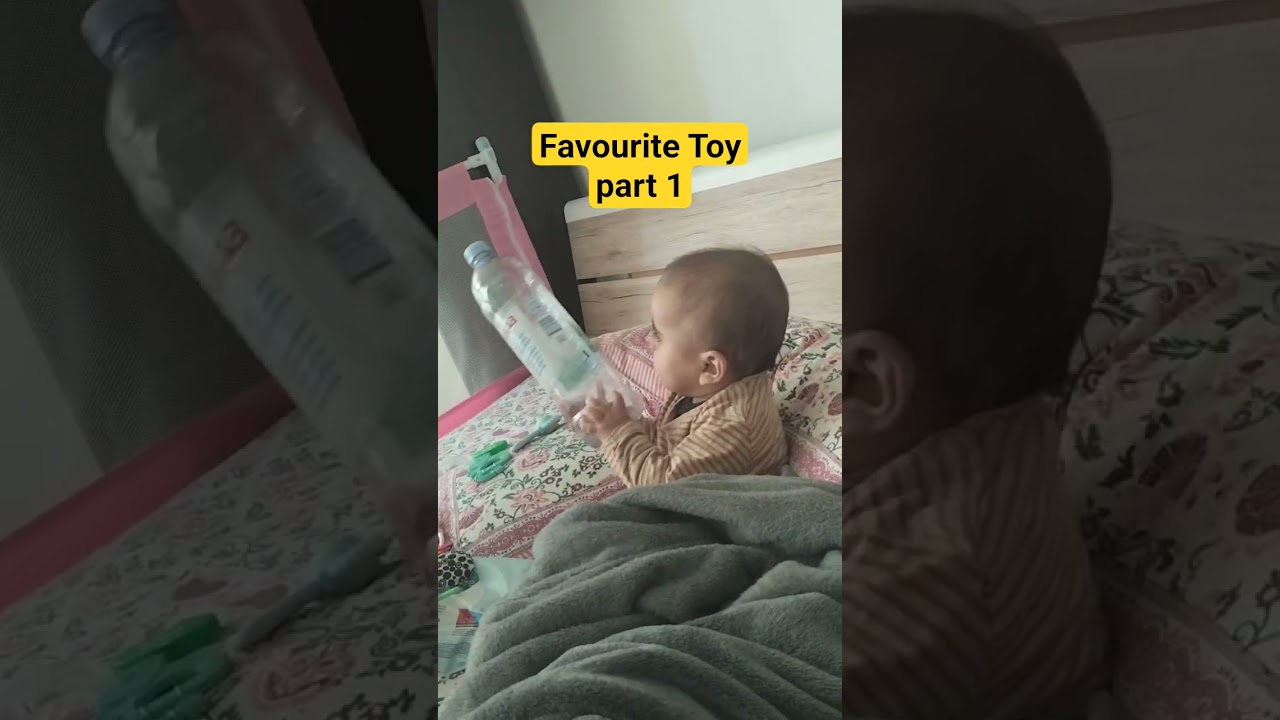 Favourite Toy 