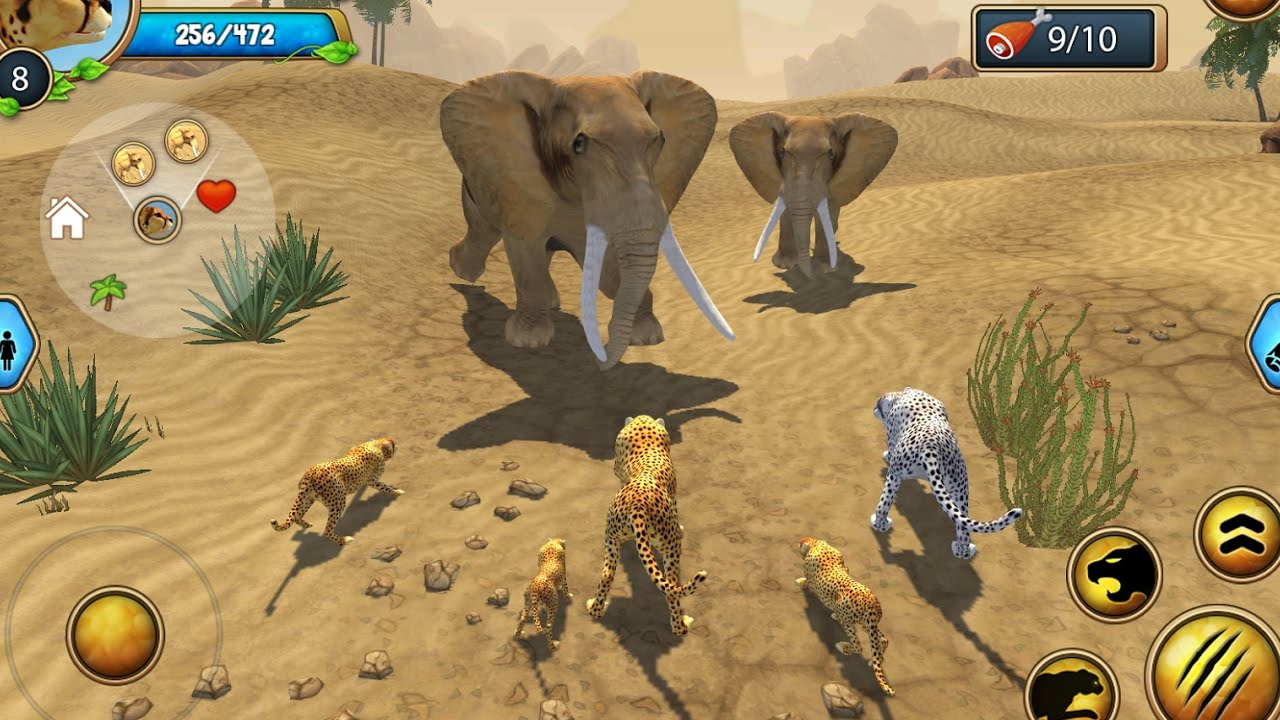Cheetah Family Sim 3D Android Gameplay HD #1