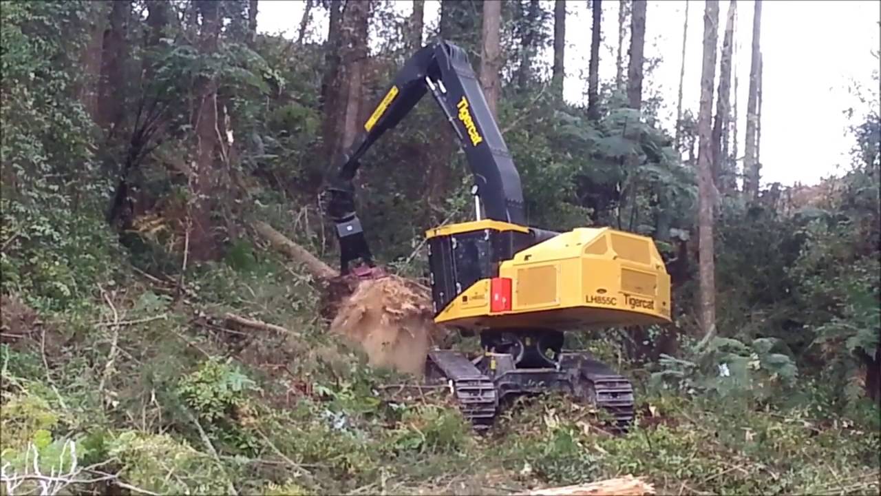 Felling Head SATCO SAT325E on Tigercat LS855C
