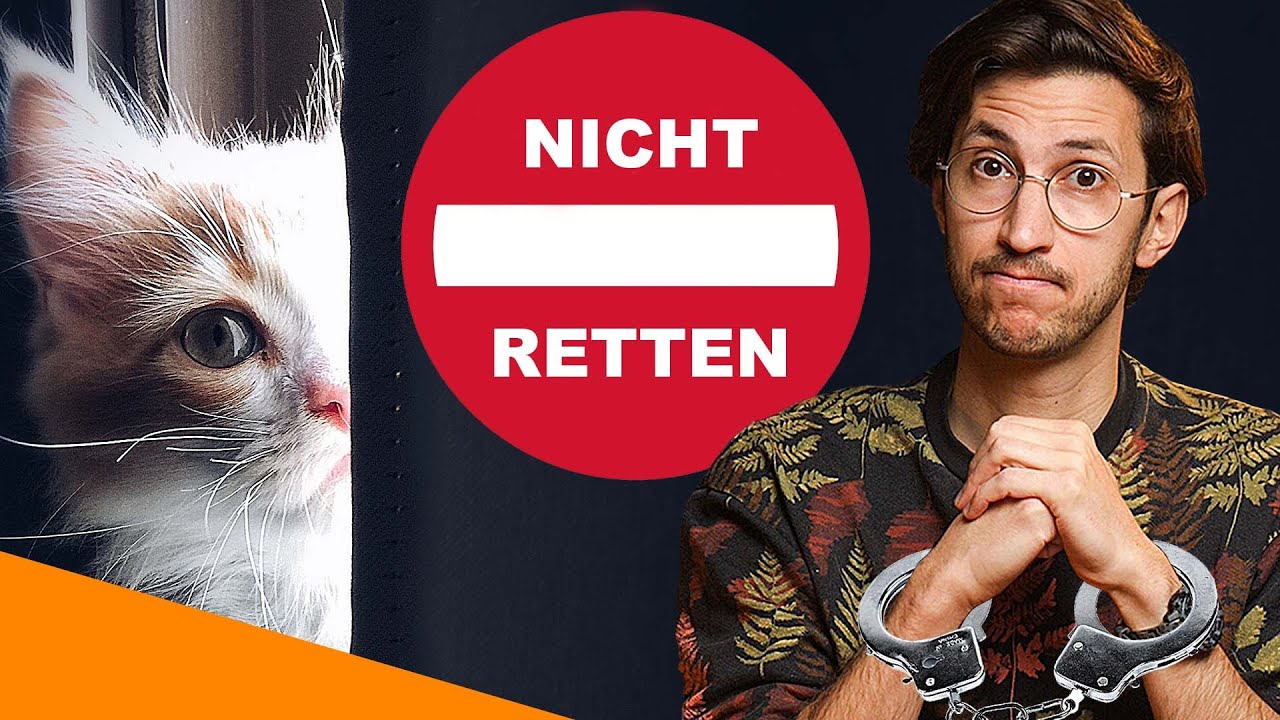 Dieses Video ist ILLEGAL! 🤐  GS-441524 gegen FIP