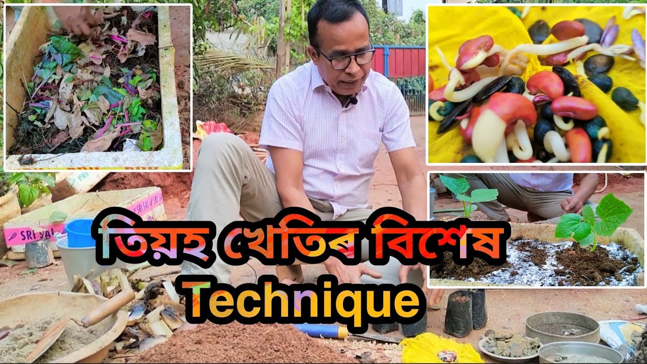 বিশেষ পদ্ধতিৰে তিয়হ‌‌ৰ খেতি কেনেকৈ কৰ‌ে? (In Thermocol Box)  (Cucumber Plantation)