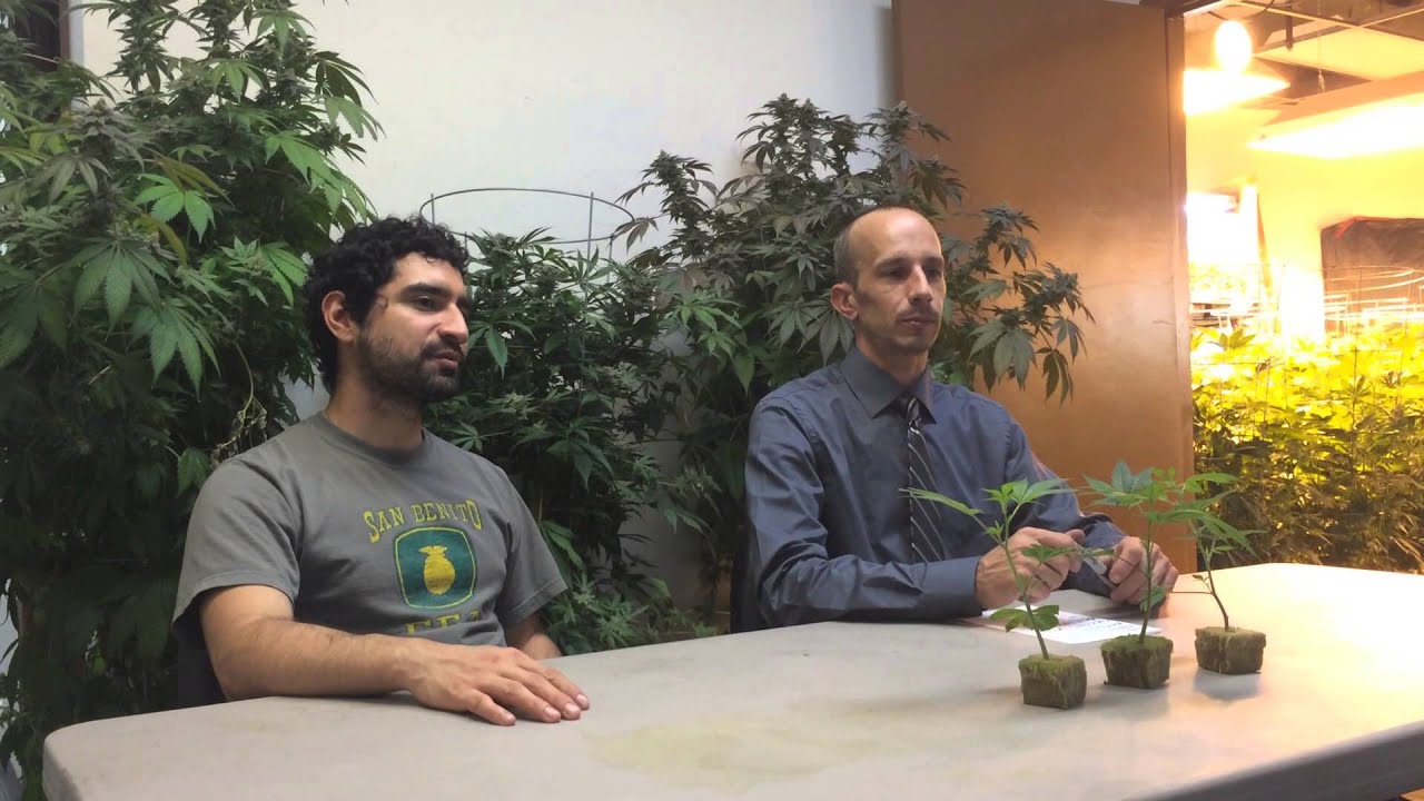 Episode 4 - Afgoo